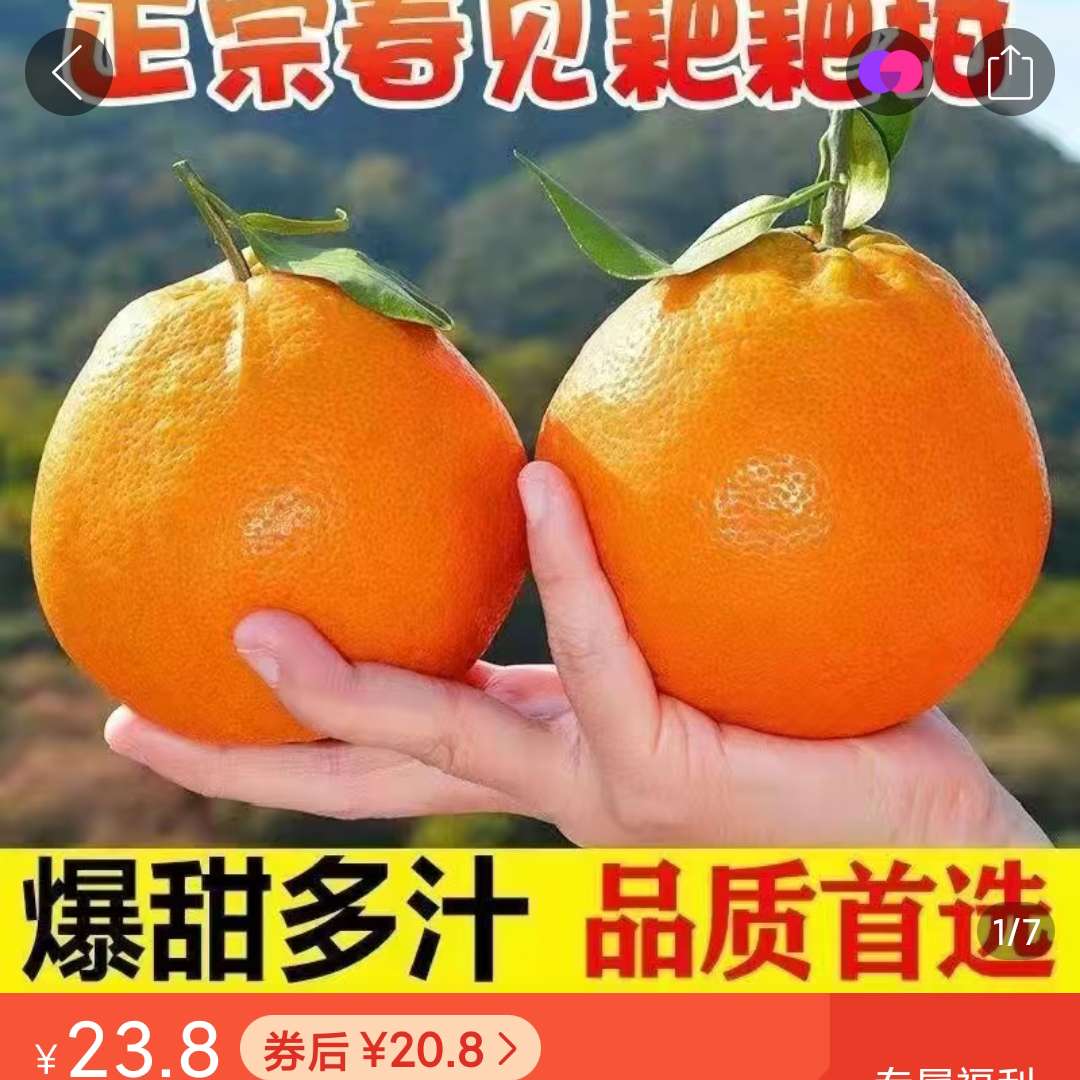 柑子和春见有什么区别(春见和桔子的区别)